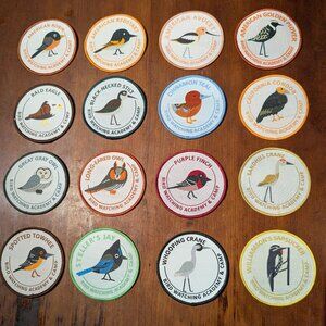 Bird Watching Academy & Camp Patches Embroidered Colorful Bird Enthusiast